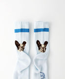 Roster Sox Dog Socks, Blue
